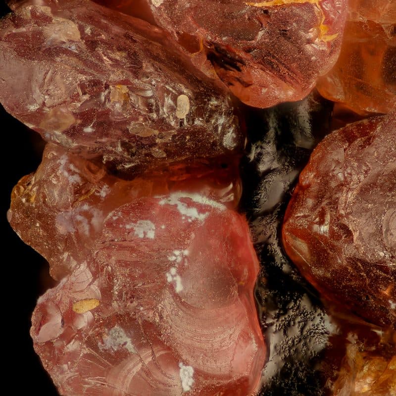 Garnet Bracelet